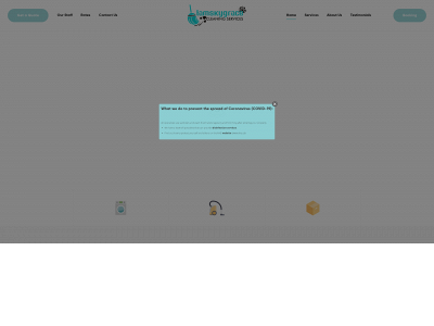 tamskygracecleaning.co.uk snapshot