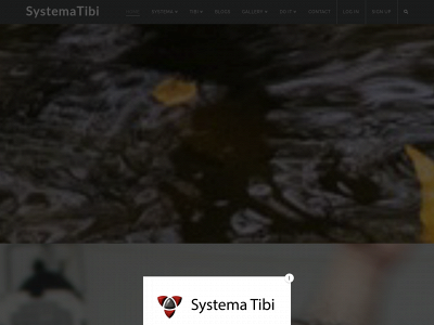systematm.com snapshot
