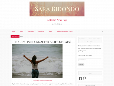 sarabidondo.com snapshot