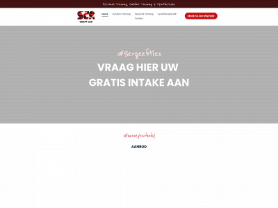 sergeeftles.nl snapshot