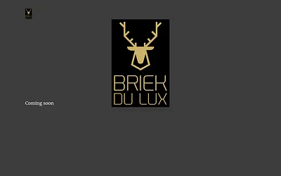 briekdulux.be snapshot