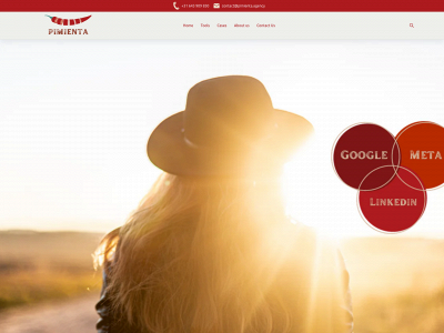 pimientomarketing.com snapshot