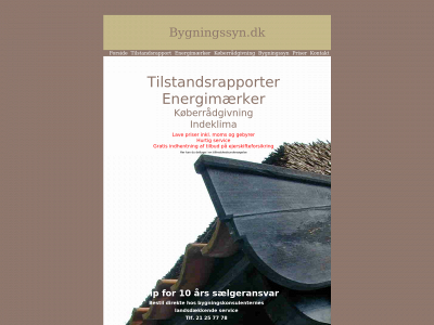 bygningssyn.dk snapshot