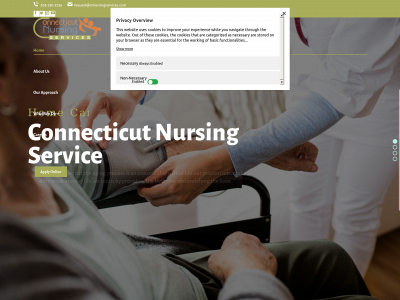 ctnursingservices.com snapshot