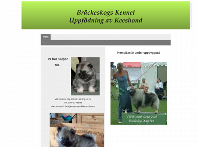 brackeskog.se snapshot