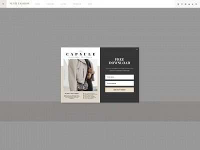 ventifashion.com snapshot