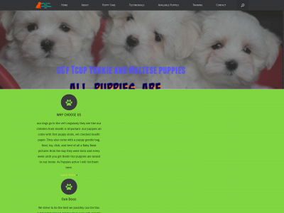gjoreforerkort.com snapshot