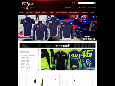www.pitlane9shop.com snapshot