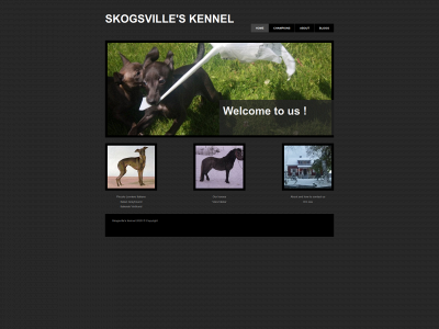 skogsville.com snapshot
