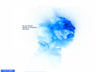 amazinginvisible.weebly.com snapshot
