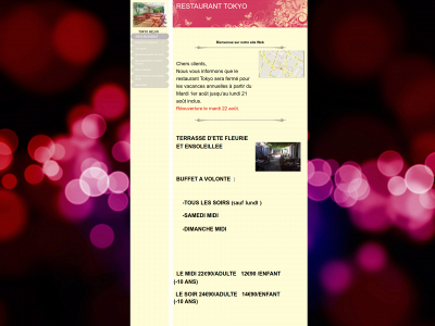 tokyomelun.fr snapshot