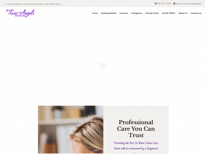texasangelshomecare.com snapshot