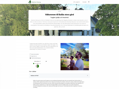 attentionomsorg.se snapshot