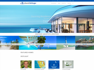 davidbrillinger.com snapshot