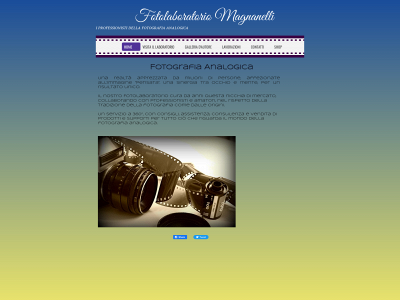 magnanellianalogic.com snapshot