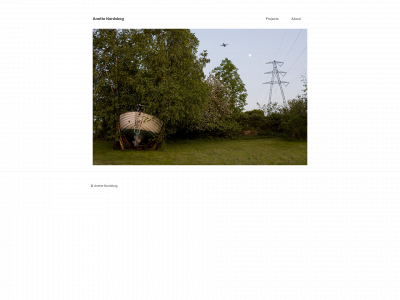 anettenordskog.com snapshot