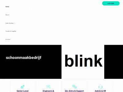 schoonmaakbedrijfblink.nl snapshot