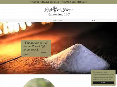 lightofhopeconsulting.com snapshot