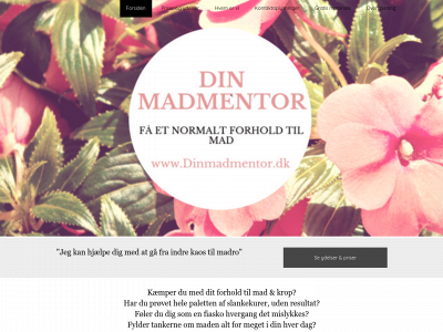 dinmadmentor.dk snapshot