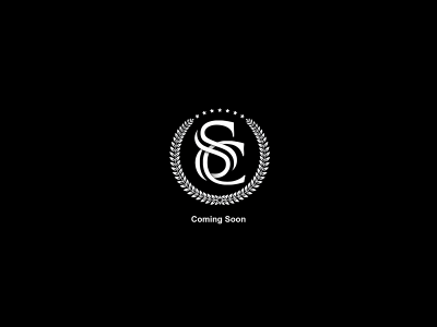saultattoos.com snapshot