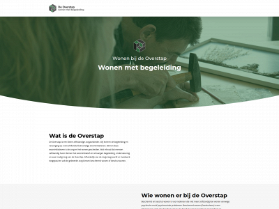 bwdeoverstap.nl snapshot
