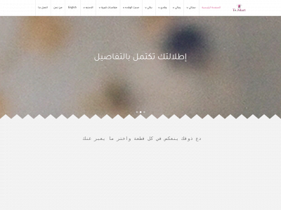 temartoutlet.com snapshot