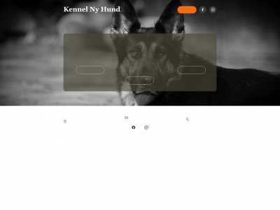 ny-hund.dk snapshot