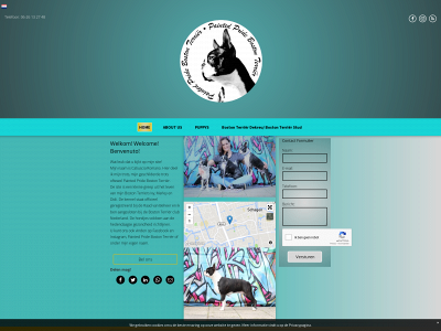 paintedpride.nl snapshot