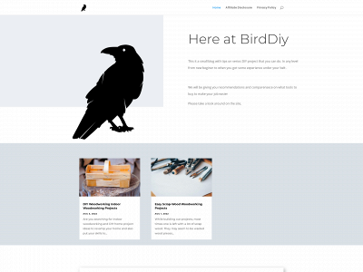 birddiy.com snapshot