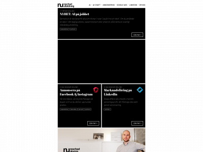 nischadeutbildningar.com snapshot