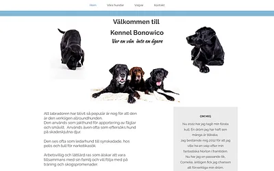 labradorkenneln.se snapshot