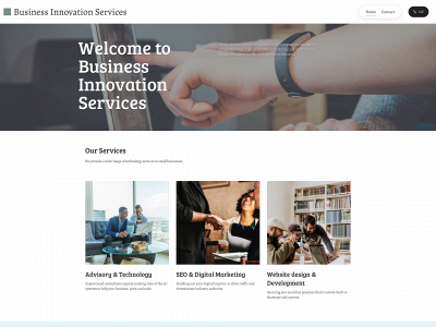 business-innovation-services.com snapshot