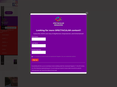 spectacularmag.com snapshot