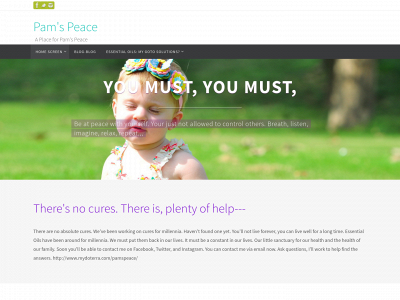 findtheblessinginthestorm.com snapshot