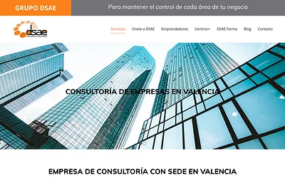 www.dsae.es snapshot