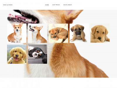 puppysfunday.weebly.com snapshot