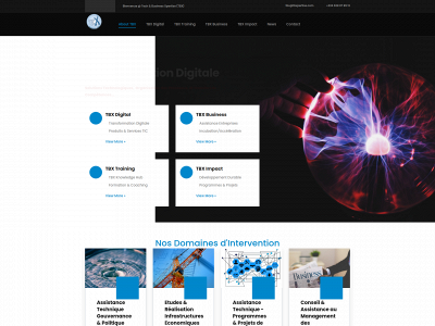 tbxpertise.com snapshot