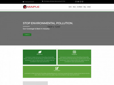 maplelink.ca snapshot