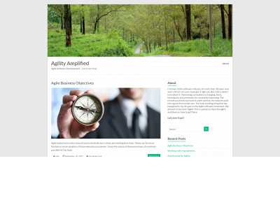 agilityamplified.com snapshot