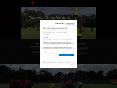 falconscheerleaders.dk snapshot