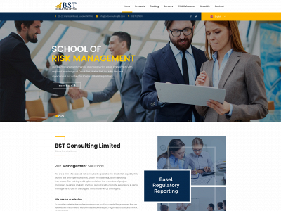 bstconsultingltd.com snapshot