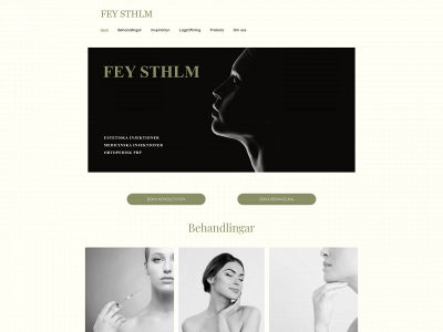 feysthlm.se snapshot