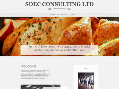 sdecconsultingltd.com snapshot