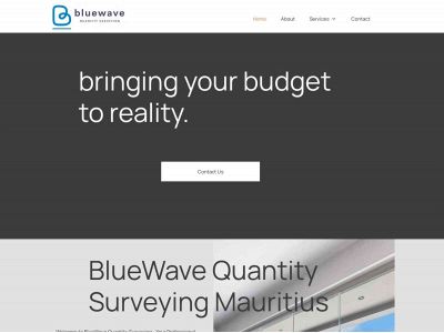 bluewaveqs.com snapshot