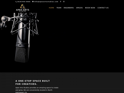 apexartsstudios.com snapshot