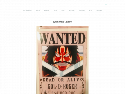kamdripin.weebly.com snapshot