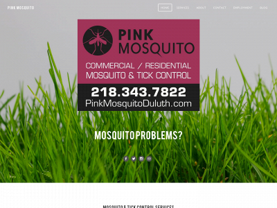 pinkmosquito.weebly.com snapshot