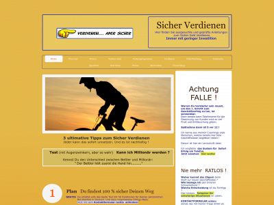 spuerbar-sicher-verdienen.com snapshot