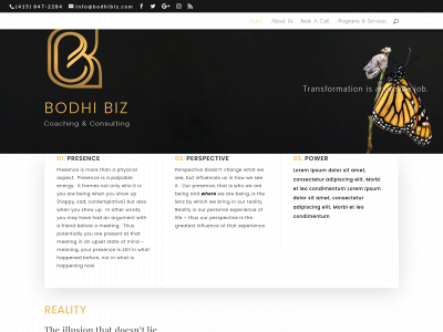 bodhibiz.com snapshot