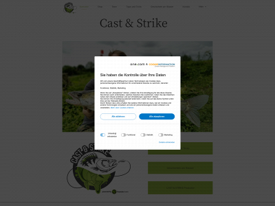 cast-and-strike.com snapshot